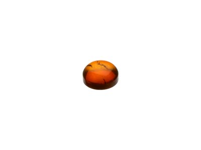 Natural Amber, Round Cabochon, 4mm - Standard Image - 3