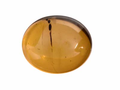 Natural Amber, Oval Cabochon,      12x10mm - Standard Image - 1