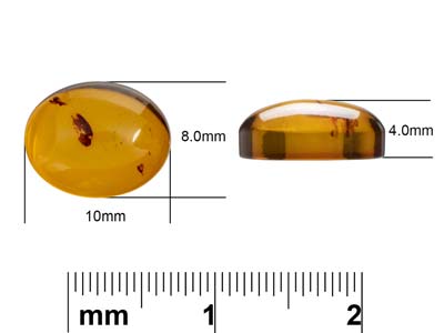 Natural Amber, Oval Cabochon,      10x8mm - Standard Image - 4