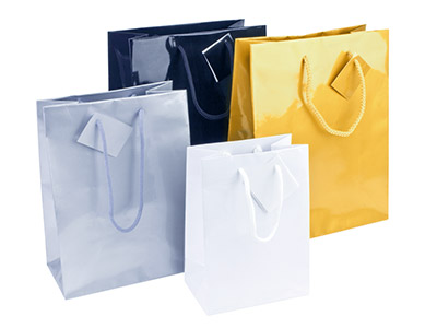 Black Gloss Gift Bag, Medium       Pack of 5 215x160x90mm - Standard Image - 2
