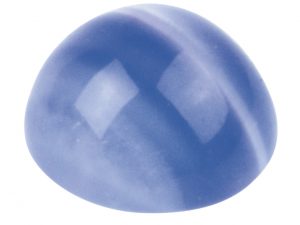 61AGCA06_g
