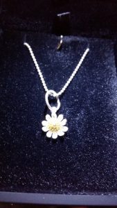 pendant box photo