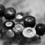buffing-mops-and-polishing-wheels