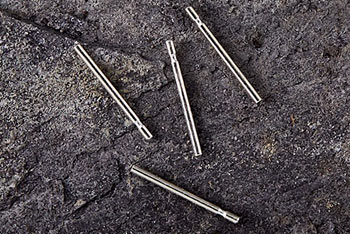 ear pins