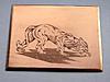 Click image for larger version. 

Name:	133 Puma engraving by Jim1967.jpg 
Views:	29 
Size:	64.9 KB 
ID:	5086