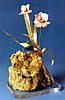 016- Sunbird and Miltonia orchids.jpg