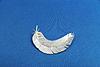 f Feather Brooch First Version.jpg