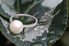 Click image for larger version. 

Name:	pearl-ring.jpg 
Views:	27 
Size:	44.7 KB 
ID:	6667