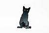 A4 Black Cat.jpg