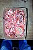 Click image for larger version. 

Name:	22 Pink coral pieces in a 14 inch box.jpg 
Views:	34 
Size:	53.3 KB 
ID:	6847