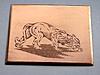 Click image for larger version. 

Name:	133 Puma engraving by Jim1967.jpg 
Views:	31 
Size:	64.6 KB 
ID:	8001