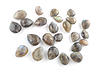 Click image for larger version. 

Name:	labradorite-brios-topdrilled-2.jpg 
Views:	20 
Size:	60.8 KB 
ID:	9135