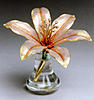 Click image for larger version. 

Name:	096- Pink lily bloom.jpg 
Views:	9 
Size:	50.1 KB 
ID:	3248