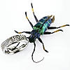 Click image for larger version. 

Name:	beetle500web.jpg 
Views:	51 
Size:	32.4 KB 
ID:	2009