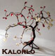 Kalorlo's Avatar