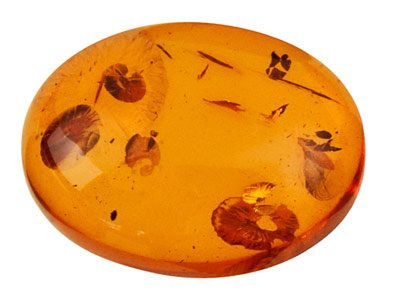 Natural Amber, Oval Cabochon,      14x10mm