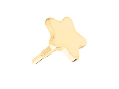 Gold Filled Star Labret Stud       Earrings - Standard Image - 4