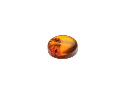 Natural Amber, Round Cabochon, 5mm - Standard Image - 3