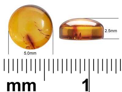 Natural Amber, Round Cabochon, 5mm - Standard Image - 4