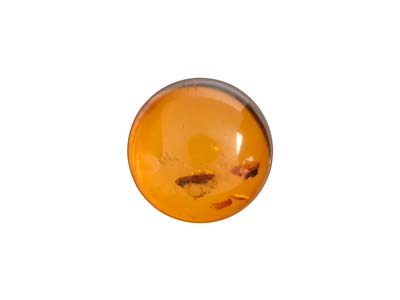 Natural Amber, Round Cabochon, 8mm
