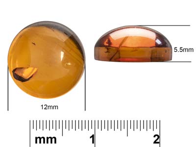 Natural Amber, Round Cabochon, 12mm - Standard Image - 4
