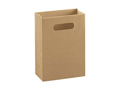 Kraft Gift Bag Medium Pack of 10