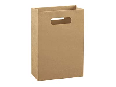 Kraft Gift Bag Large Pack of 10