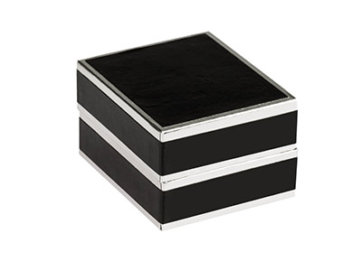 Black And Silver 2 Tone Earring Box - Standard Image - 2