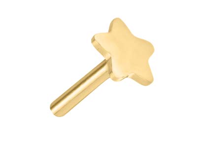 Gold Filled Star Labret Tube 3mm