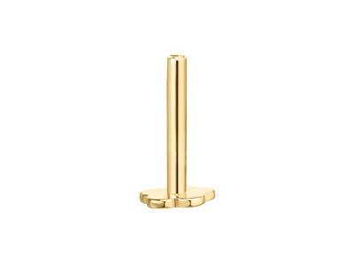 Gold Filled Plain Flower Labret    Tube 4mm - Standard Image - 2