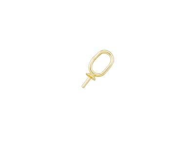 9ct Yellow Gold Pendant Cup 2mm    With Oval Ring - Standard Image - 1