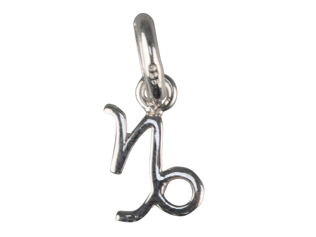 Sterling Silver Capricorn Horoscope 