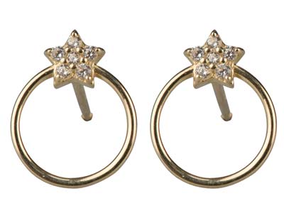 9ct Yellow Gold Flower             Cubic Zirconia And Circle Outline  Stud Earrings