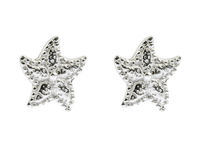 Sterling Silver Starfish Stud      Earrings - Standard Image - 1