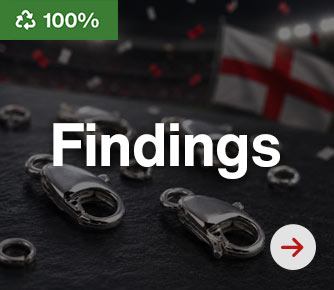 Findings