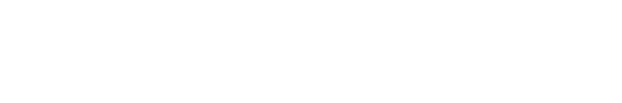 Professional Customisation Services