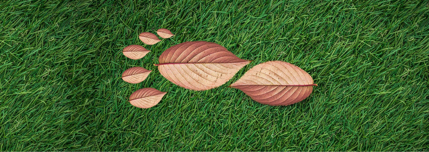 Leaves in the shape of a foot on grass