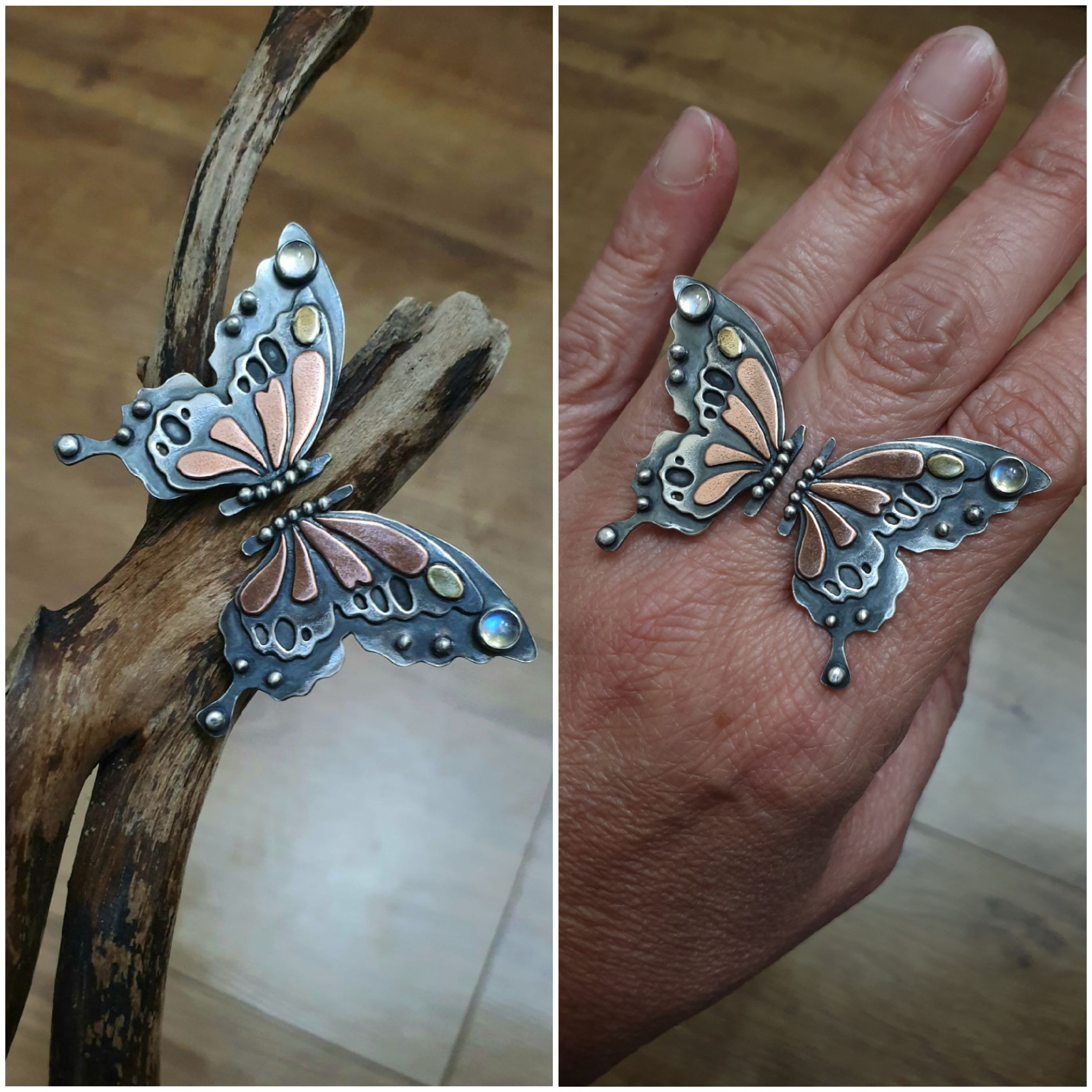 Design of the month winners image