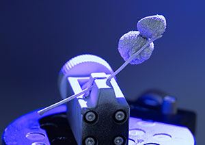 Toys and miniatures